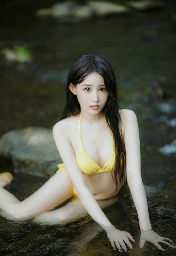 钢琴家 封面